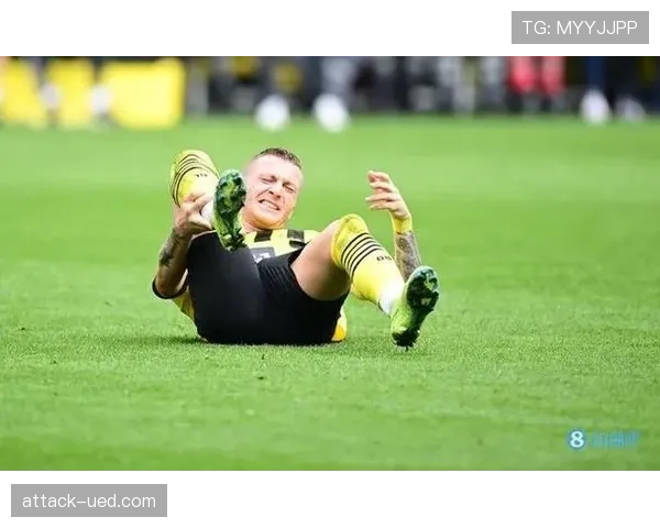 伤病如何重塑维尔茨与罗伊斯的天才轨迹